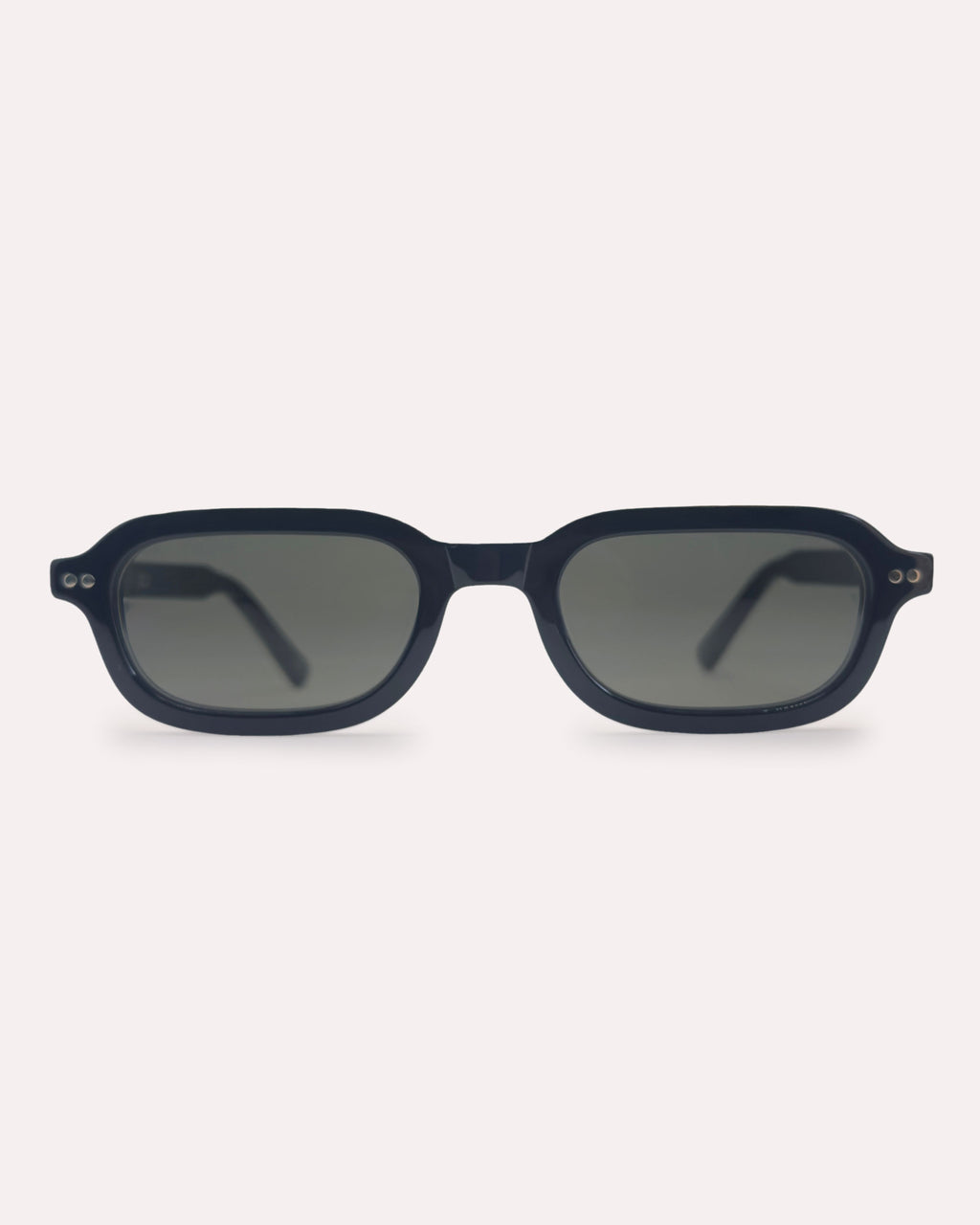 Plein Air Eyewear Cassatt sunglasses, black acetate frame with black lenses, front view