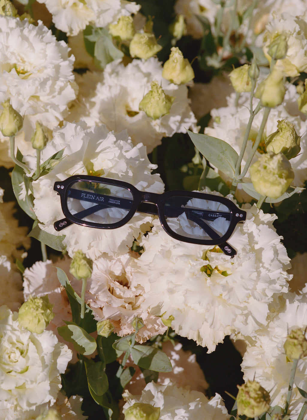 Plein Air Eyewear Cassatt sunglasses, lifestyle photo