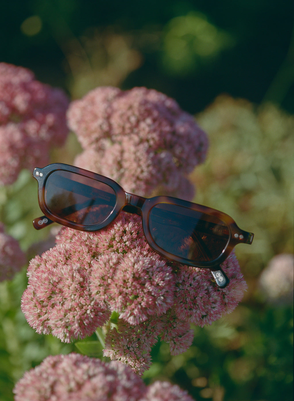 Plein Air Eyewear Cassatt sunglasses, lifestyle photo