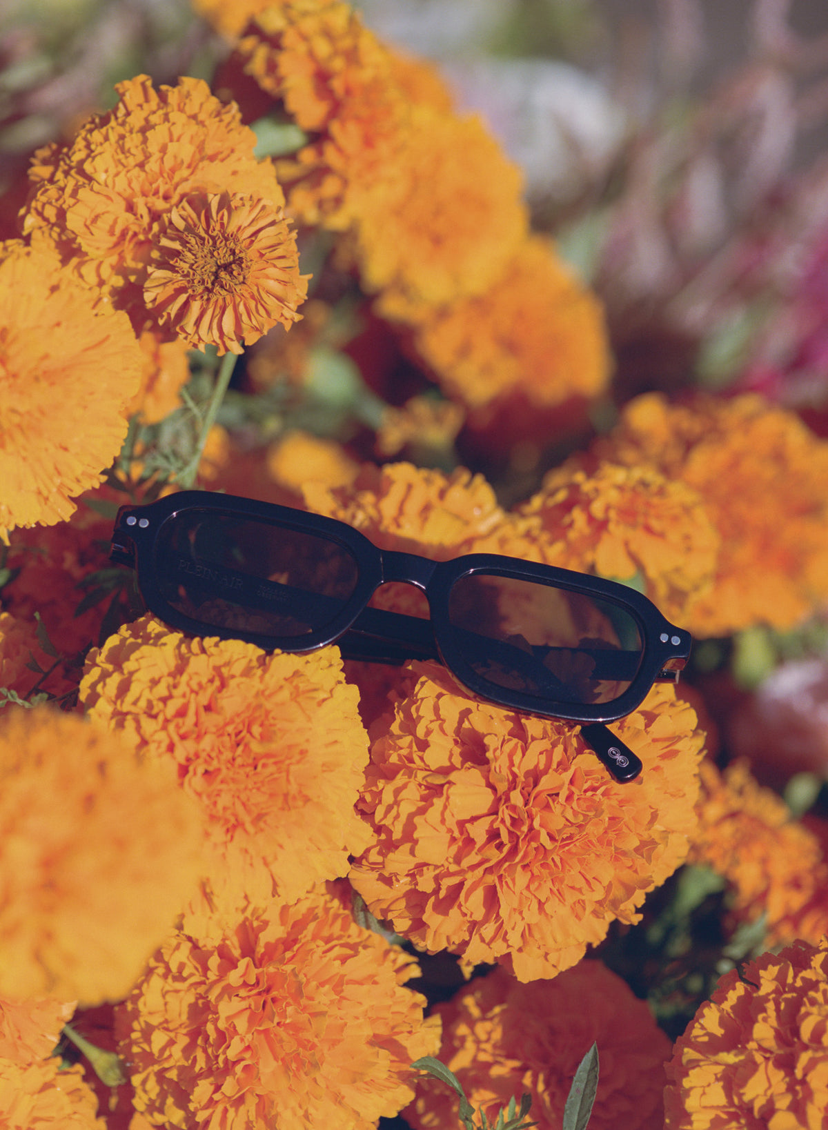 Plein Air Eyewear Cassatt sunglasses, lifestyle photo